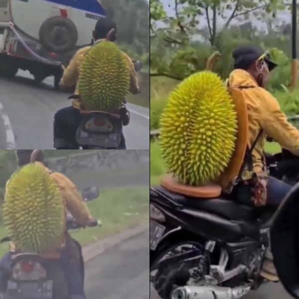 Viral! Buah Durian Raksasa Gegerkan Jagat Maya, Bikin Ngiler
