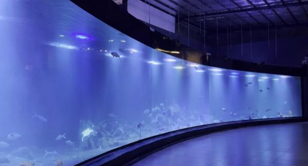 Jelang Shop Opening, Aquarium Indonesia Pangandaran Aquarium Terbesar di Indonesia Lakukan Persiapan
