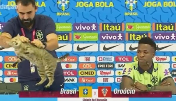 Kucing Hebohkan Konpres Brazil vs Kroasia