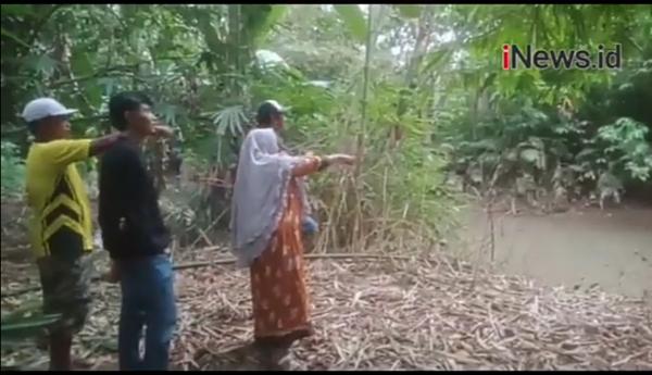 Video Buaya Muara Berukuran 3 Meter Menerkam Ibu Rumah Tangga di Tanggamus