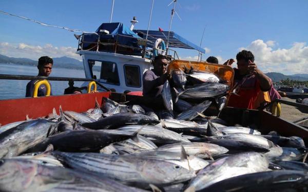 KKP akan Segera Menerapkan Kebijakan Penangkapan Ikan Secara Terukur Berbasis Kuota