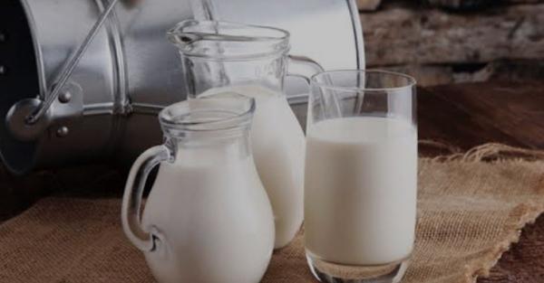 7 Manfaat Susu Kambing untuk Kesehatan, Nomor 1 Bisa Turunkan Berat Badan