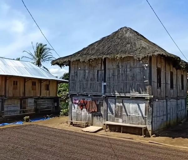 Kondisi Rumah Panggung Usia 400 Tahun di Lampung Barat