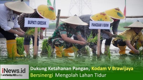 Dukung Ketahanan Pangan,  Kodam V Brawijaya Bersinergi Mengolah Lahan Tidur