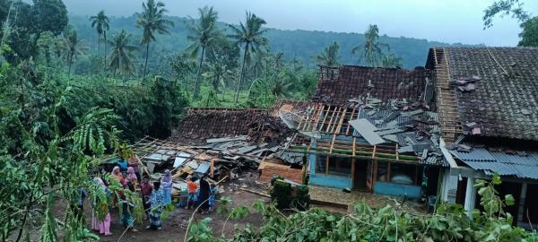 Angin Puting Beliung Terjang Bondowoso, Puluhan Rumah Rusak, 1 Orang Tertimpa Reruntuhan