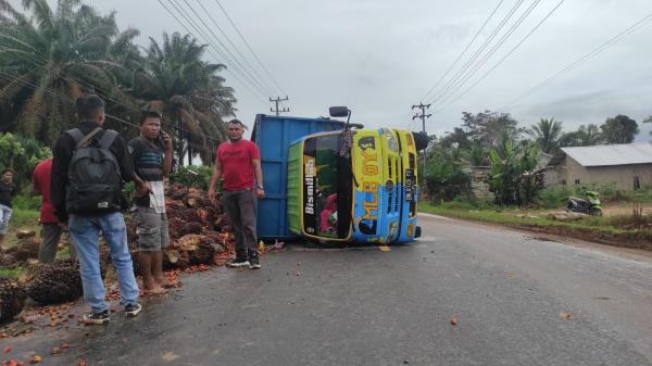 Hindari Pemotor, Truk Pengangkut 7 Ton Buah Sawit Terguling di Bangka Barat