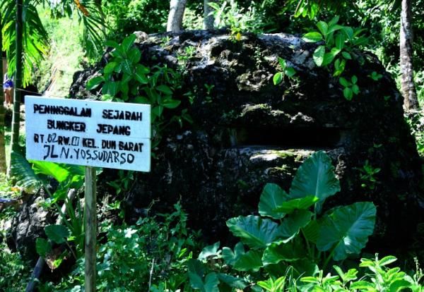 Pulau Doom Papua Barat Ternyata Banyak Terhubung Bunker Bekas Peninggalan Jepang