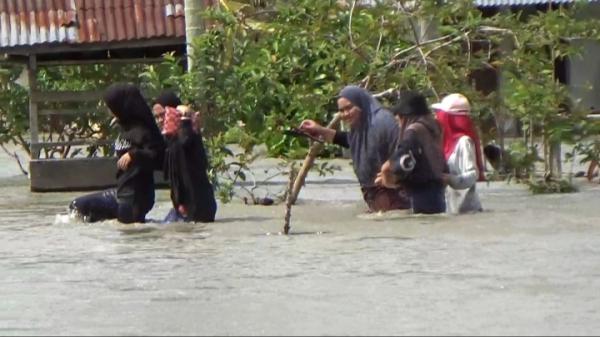 Ratusan Rumah di Kecamatan Baebunta dan Malangke Barat Dihantam Banjir, Warga Terisolir