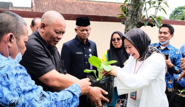 Gerakan Tanam Panen Cepat dalam Program P2L, Cara Pemkab Garut Tekan Angka Inflasi