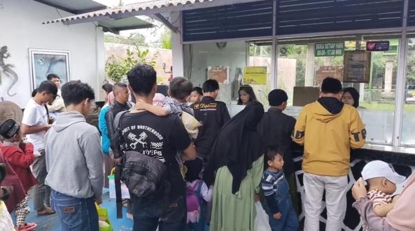 Libur Nataru Wisata Lokal Padati Taman Satwa Cikembulan Garut