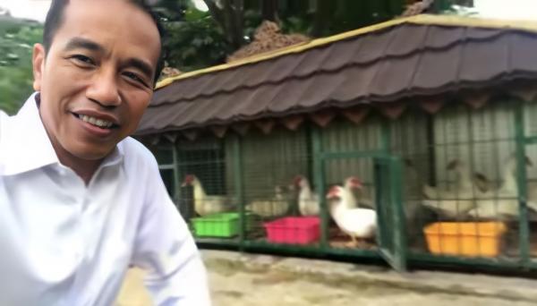Unik! Beri Makan di Waktu Santai, Ini Dia Sederet Peliharaan Jokowi di Istana Bogor