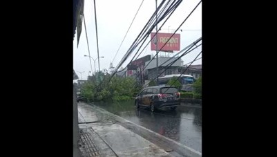 Akibat Cuaca Ekstrem, Pohon Tumbang di Cilegon Timpa Kabel Listrik dan Tutup Jalan