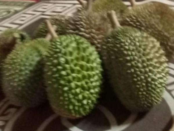 Beberapa Makanan Yang Wajib Dihindari Setelah Konsumsi Buah Durian