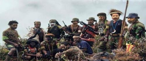 Kapolda Papua Barat Perintahkan : Tangkap KKB,  Hidup-Hidup Atau Mati !