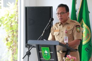 Pemprov Riau Resmi Diumumkan Hasil Seleksi PPPK Nakes