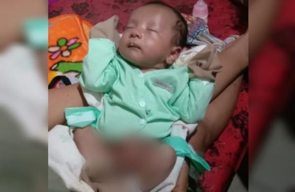 Bayi Mungil Dibuang di Kebun, Pelaku Pembuangan Ditangkap Polisi