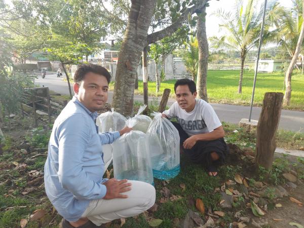 Layak Ditiru! Forum Kepala Desa di Lombok Ini Bagikan Ratusan Ribu Bibit Ikan ke Warga Pasca Pandemi