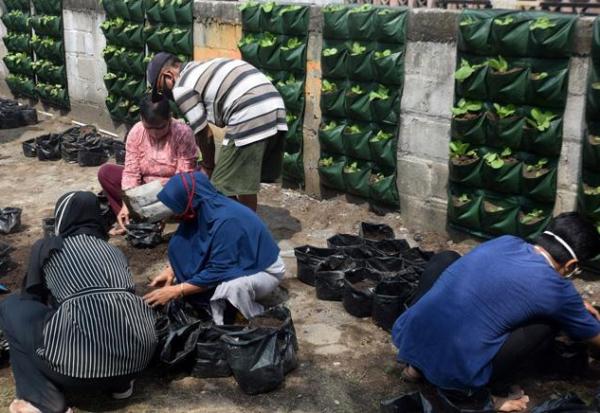 Wujudkan Ketahanan Pangan di Kota Semarang, Urban Farming Akan Dimasukkan ke Kurikulum Merdeka