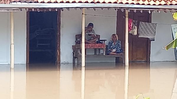 Banjir Rendam Ratusan Rumah di Kota Tegal, Puluhan Warga Terpaksa Mengungsi