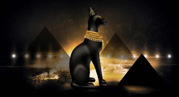 5 Alasan Orang Mesir Kuno Memuja Kucing