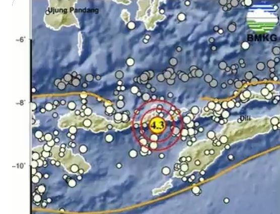 Gempa Bumi M4 3 Guncang Larantuka Ntt Pagi Ini