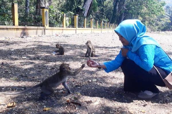 Menyambangi Wisata Candi Batur di Pemalang, Dihuni Ribuan Monyet yang Ramah dengan Manusia