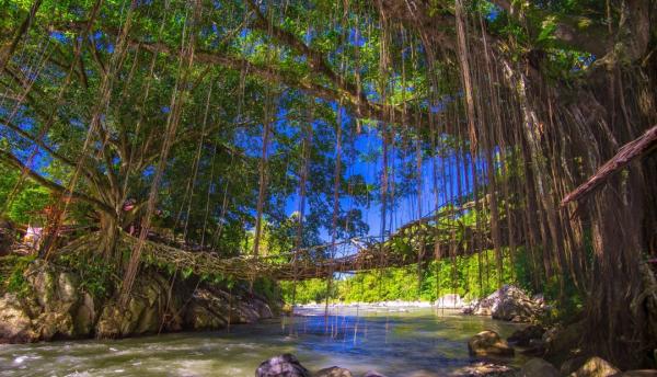 Mirip India, Jembatan Akar Bayang jadi Destinasi Wisata Viral di Sumatera Barat