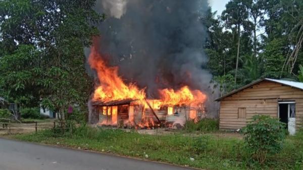 Diduga Korsleting Listrik, Rumah Nenek Auiyah Ludes Terbakar