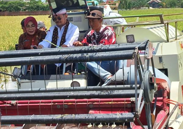 Hadiri Panen Raya di Grobogan, Menteri Pertanian Jamin Stok Pangan Masih Aman