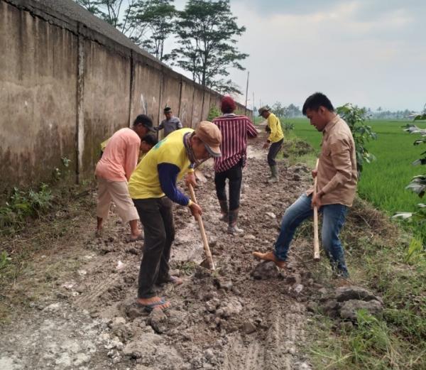 Masyarakat Desa Sindangraja Sukaluyu Antusias Gotong Royong Perbaiki Jalan yang Berlubang