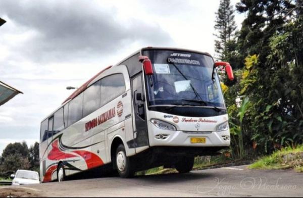 Siapa Pemilik PO Sindoro Satria Mas, Perusahaan Otobus yang Berani Melintasi Jalur Gunung Lawu
