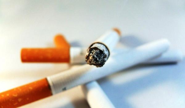 Ciptakan Rokok Tanpa Nikotin, Warga Kudus Ganti Tembakau dengan Daun Talas