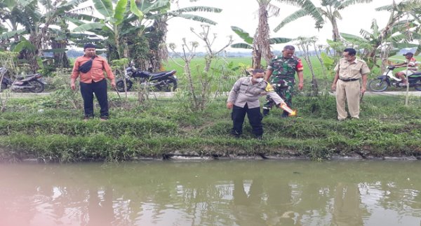 Seorang Pria Ditemukan Tenggelam di Kolam Ikan Bikin Geger Warga Sragen, Tak Temukan Tanda Kekerasan