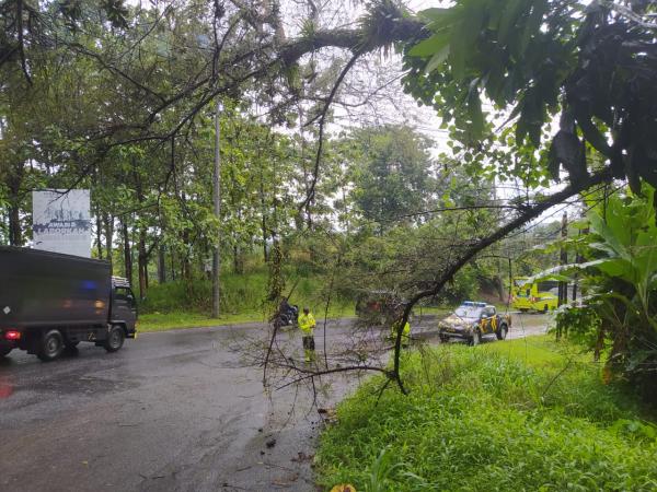 Pohon Tumbang di Pemalang Timpa Kawat Listrik, Polisi Respon Cepat Aduan Warga via Call Center 110