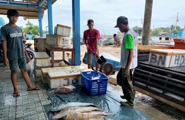 TPI Binuangeun Sumbang PAD Lebak Rp 1,13 Miliar dari Retribusi Lelang Ikan