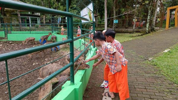Murid TK IT Permata Hati Eduwisata ke Serulingmas Zoo Banjarnegara
