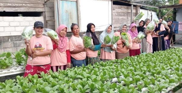 Relawan Mak Ganjar Kaltim Ajak Emak-emak Manfaatkan Lahan Kosong Tanam Sayuran Hidroponik