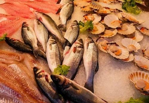 7 Deretan Makanan Berprotein, Salah Satunya Seafood