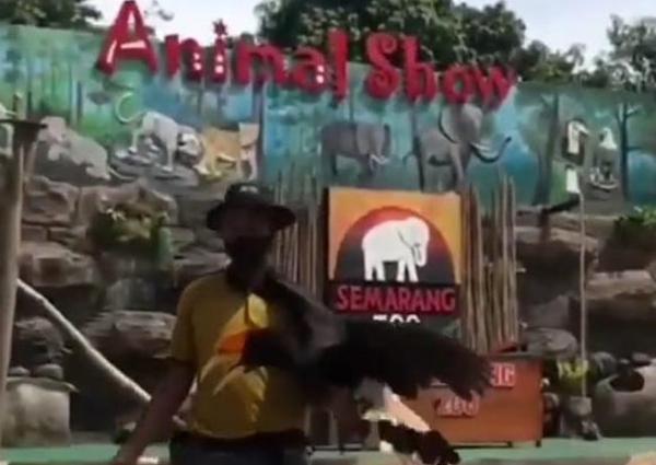 Terbaru! Berikut Daftar Harga Tiket Masuk Semarang Zoo 2023