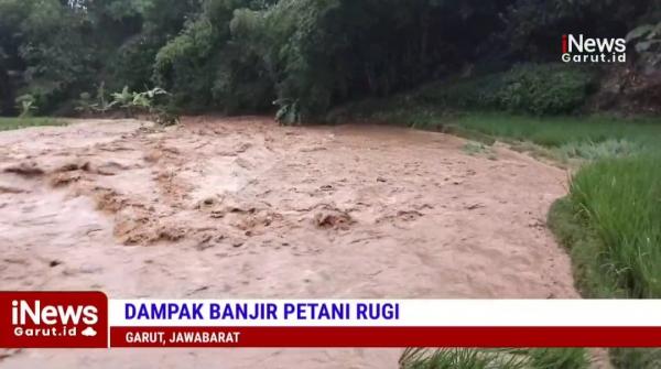 Hektaran Sawah Terdampak Banjir, Petani di Limbangan Garut Merugi