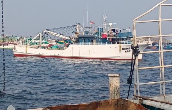 Produksi 80 ribu Ton Ikan Setahun, Pelabuhan Nusantara Teluk Awang Cikal Bakal Food Estate di Lombok