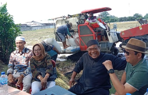 Dukung Ketahanan Pangan Nasional, Petani Cirebon Kembangkan Varietas Padi Unggulan