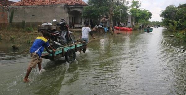 Ojek Gerobak Pengangkut Motor Beraksi di Tengah Banjir di Wilayah Utara Jateng