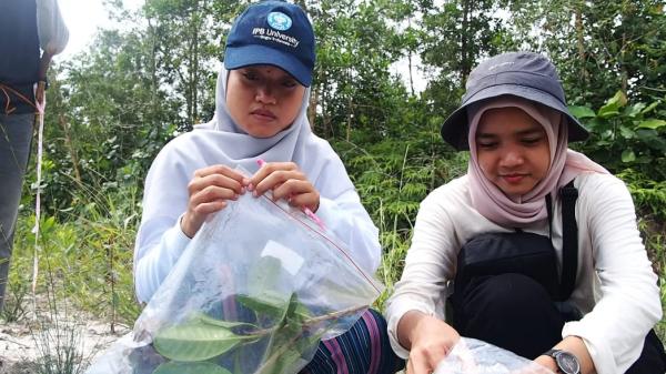 IPB University Riset UKICIS Pariwisata Berbasis Biologi Pulau Belitung, Tim WP 2 Fokus Madu Teran