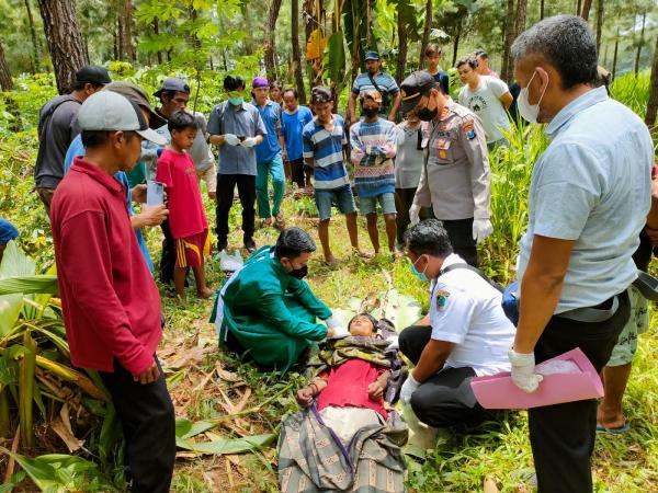 Warga Banyuwangi Geger, di Wilayah Perhutani Jambewangi Ditemukan Mayat Tergantung