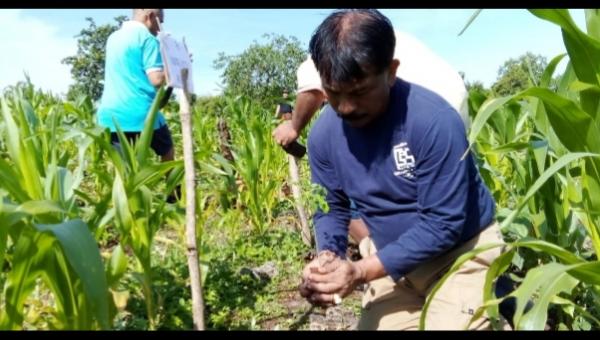 Penjabat Walikota Apresiasi Kebun Kelor Dinas Pendidikan dan Kebudayaan Kota Kupang