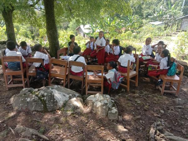 Miris, Siswa SD di Timor Tengah Selatan Terpaksa Belajar di Bawah Pohon