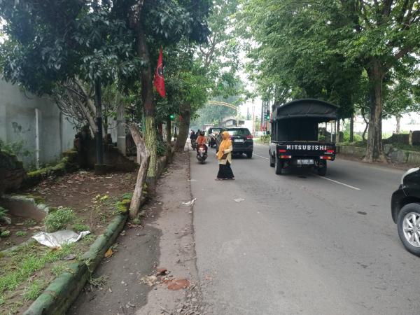 Pengemis Bawa Anak Kecil di Kota Probolinggo Bikin Resah Warga dan Pengendara