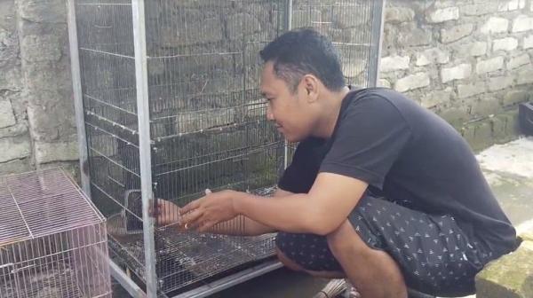 Aduh! Rekening Penjual Burung di Pamekasan Diblokir BCA Atas Permintaan KPK, Saldonya Cuman Rp2 Juta