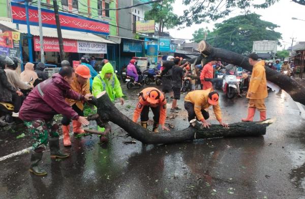 Pasca Hujan Deras Disertai Angin Kencang, Babinsa Kodim 0602/Serang Evakuasi Pohon Tumbang